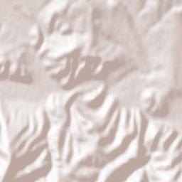 Prokuplje Terrain Map
