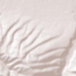 Ishkhoy-Yurt Terrain Map