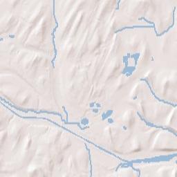 Wayneport New York Terrain Map