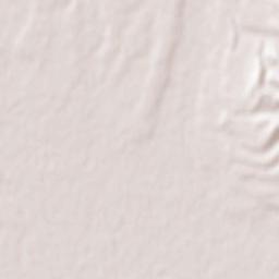 Kambileyevskoye Terrain Map