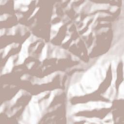 Bijelo Polje Terrain Map