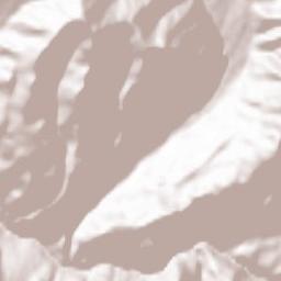 Mest’iis Munitsip’alit’et’i Terrain Map