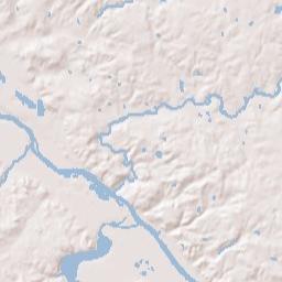 Forest Hills Terrain Map