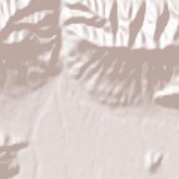 Tarskoye Terrain Map