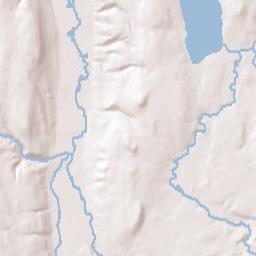 Rippleton New York Terrain Map