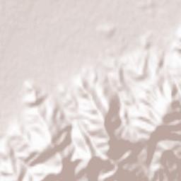 Scarlino Terrain Map