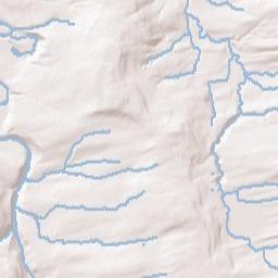 Scotch Bush New York Terrain Map