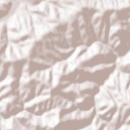 Obshtina Tryavna Terrain Map