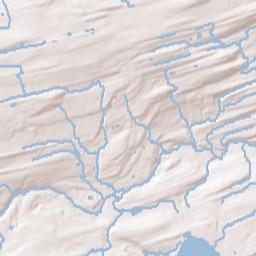 Duane New York Terrain Map