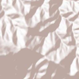 Obshtina Anton Terrain Map