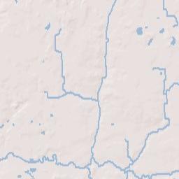 Williamston Terrain Map