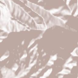 Shamil’kala Terrain Map