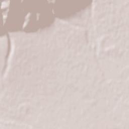 Asen Terrain Map