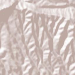 Lapoblación Terrain Map