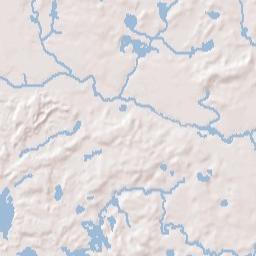 Pinckney Terrain Map