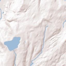 Owlsville New York Terrain Map