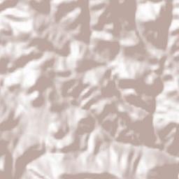 Laspaúles Terrain Map