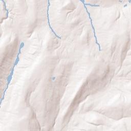 West Allen New York Terrain Map