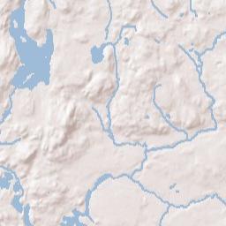 Waltham Terrain Map
