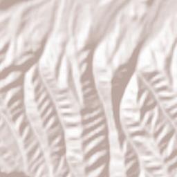 Fresneña Terrain Map