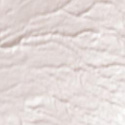 San Martino al Cimino Terrain Map