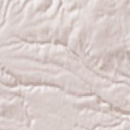 Vasanello Terrain Map