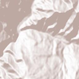 Shamil’skiy Rayon Terrain Map