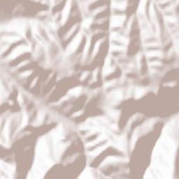 San Vicente del Valle Terrain Map