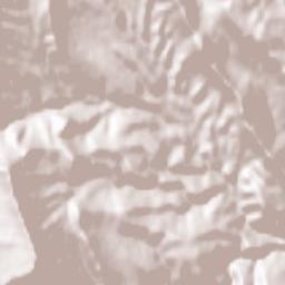 Sergokalinskiy Rayon Terrain Map