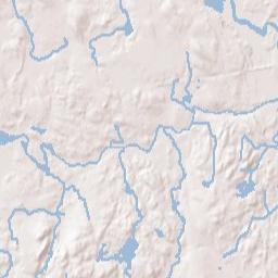 Needham Terrain Map