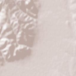 Слупчане Terrain Map