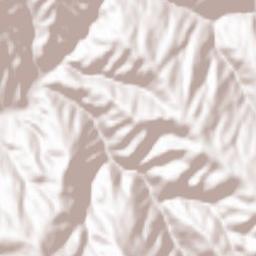 Kriva Palanka Terrain Map