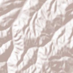 Obshtina Nevestino Terrain Map