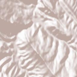 Akushinskiy Rayon Terrain Map