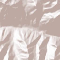 Talasskiy Rayon Terrain Map