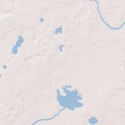 Decatur Terrain Map