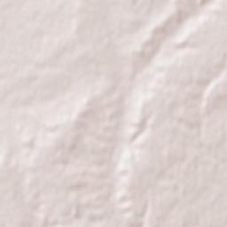 Campazas Terrain Map