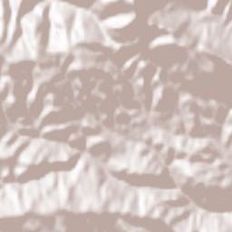 Muro de Aguas Terrain Map