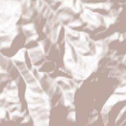 Scandriglia Terrain Map