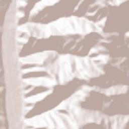 Akhalgori Terrain Map