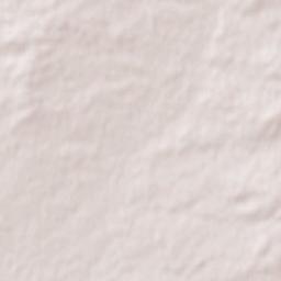 Villamuriel de Campos Terrain Map