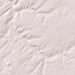 Espinosa de Cerrato Terrain Map