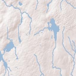 Foster Terrain Map