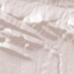 Ferreras de Arriba Terrain Map