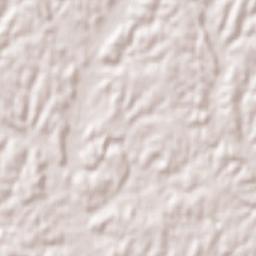 La Massimina-Casal Lumbroso Terrain Map