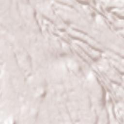 Zagarolo Terrain Map