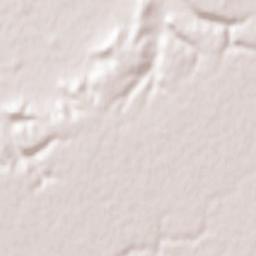 Valverde de Campos Terrain Map