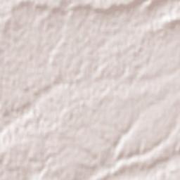 Tubilla del Lago Terrain Map