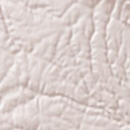 Valmontone Terrain Map