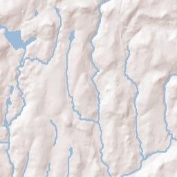 Swan Lake New York Terrain Map
